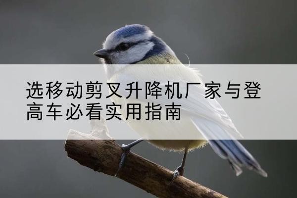 溪湖电动升降机厂家-选移动剪叉升降机厂家与登高车必看实用指南