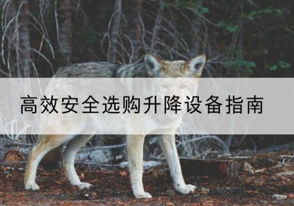 溪湖升降货梯厂家推荐-*安全选购升降设备指南